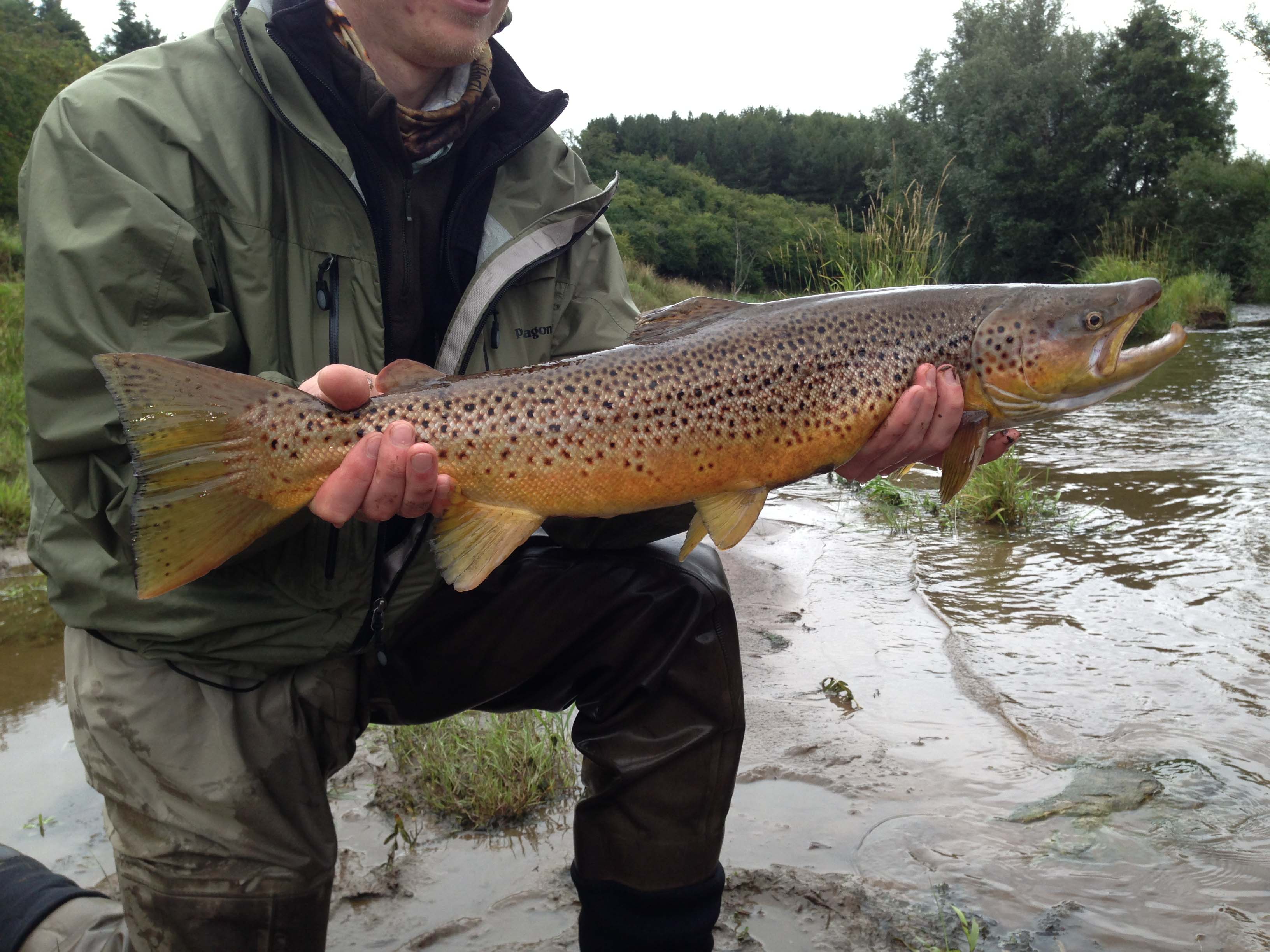 Fly Fishing Trips & Fishing Holidays in Northumberland and the Scottish Borders