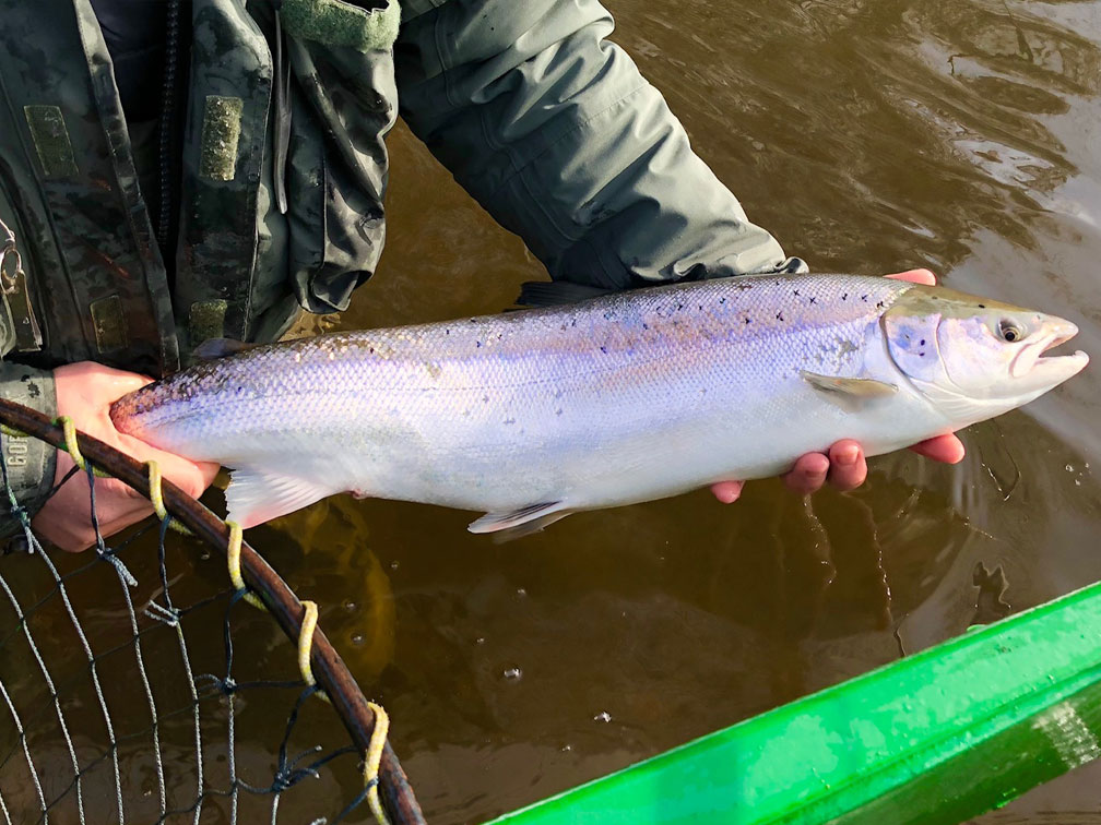 Fly Fishing Trips & Fishing Holidays in Northumberland and the Scottish Borders